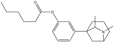 3-(6,7-Dimethyl-6-azabicyclo[3.2.1]octan-1-yl)phenol hexanoate 结构式