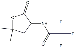 N-(5,5-Dimethyl-2-oxotetrahydrofuran-3-yl)-2,2,2-trifluoroacetamide 结构式