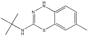 3-tert-Butylamino-6-methyl-1H-4,1,2-benzothiadiazine 结构式