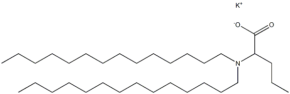 2-(Ditetradecylamino)valeric acid potassium salt 结构式