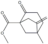 5-Methyl-2-oxo-6-methylenebicyclo[3.2.1]octane-1-carboxylic acid methyl ester 结构式