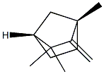 (1S,4R)-2-Methylene-1,3,3-trimethylnorbornane 结构式