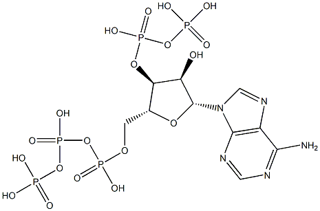 Adenosine 5'-triphosphoric acid 3'-diphosphoric acid 结构式