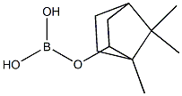 Boric acid dihydrogen 1,7,7-trimethylbicyclo[2.2.1]heptan-2-yl ester 结构式