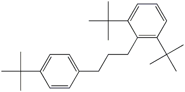 1-(2,6-Di-tert-butylphenyl)-3-(4-tert-butylphenyl)propane 结构式