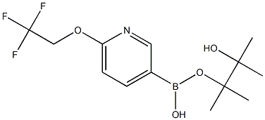 6-(2,2,2-trifluoroethoxy)pyridine-3-boronic acid pinacol ester 结构式