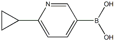 2-环丙基-5-吡啶硼酸 结构式