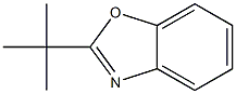 2-叔-丁基-1,3-苯并噁唑 结构式