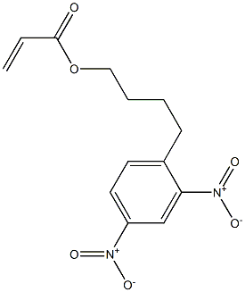 4-(2,4-Dinitrophenyl)-n-Butyl Acrylate 结构式