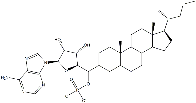 cholyl-adenylate 结构式