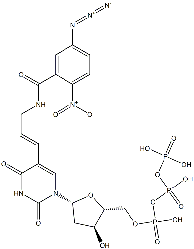 5-(N-(2-nitro-5-azidobenzoyl)-3-aminopropen-1-yl)deoxyuridine-5'-triphosphate 结构式