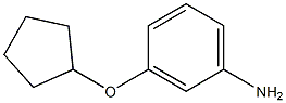 3-(CYCLOPENTYLOXY)ANILINE 结构式