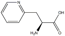 (S)-2-AMINO-3-(PYRIDIN-2-YL)PROPANOIC ACID 结构式