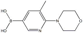 5-Methyl-6-(morpholin-4-yl)pyridine-3-boronic acid 结构式