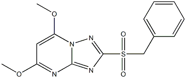 2-(benzylsulfonyl)-5,7-dimethoxy[1,2,4]triazolo[1,5-a]pyrimidine 结构式