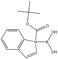 N-BOC-1-INDOLE BORONIC ACID 结构式