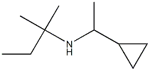 (1-cyclopropylethyl)(2-methylbutan-2-yl)amine 结构式