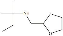 (2-methylbutan-2-yl)(oxolan-2-ylmethyl)amine 结构式