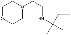 (2-methylbutan-2-yl)[2-(morpholin-4-yl)ethyl]amine 结构式