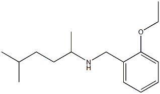 [(2-ethoxyphenyl)methyl](5-methylhexan-2-yl)amine 结构式