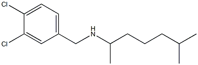 [(3,4-dichlorophenyl)methyl](6-methylheptan-2-yl)amine 结构式
