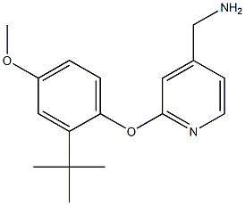 [2-(2-tert-butyl-4-methoxyphenoxy)pyridin-4-yl]methylamine 结构式