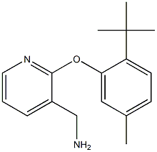 [2-(2-tert-butyl-5-methylphenoxy)pyridin-3-yl]methanamine 结构式