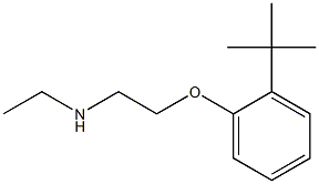 [2-(2-tert-butylphenoxy)ethyl](ethyl)amine 结构式