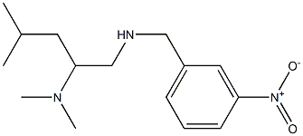 [2-(dimethylamino)-4-methylpentyl][(3-nitrophenyl)methyl]amine 结构式