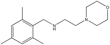 [2-(morpholin-4-yl)ethyl][(2,4,6-trimethylphenyl)methyl]amine 结构式