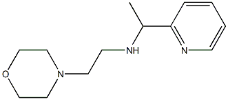 [2-(morpholin-4-yl)ethyl][1-(pyridin-2-yl)ethyl]amine 结构式