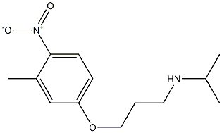 [3-(3-methyl-4-nitrophenoxy)propyl](propan-2-yl)amine 结构式