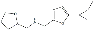 {[5-(2-methylcyclopropyl)furan-2-yl]methyl}(oxolan-2-ylmethyl)amine 结构式
