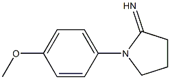 1-(4-methoxyphenyl)pyrrolidin-2-imine 结构式