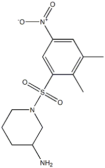 1-[(2,3-dimethyl-5-nitrobenzene)sulfonyl]piperidin-3-amine 结构式