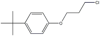 1-tert-butyl-4-(3-chloropropoxy)benzene 结构式