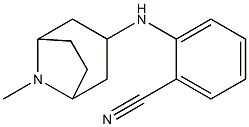 2-({8-methyl-8-azabicyclo[3.2.1]octan-3-yl}amino)benzonitrile 结构式