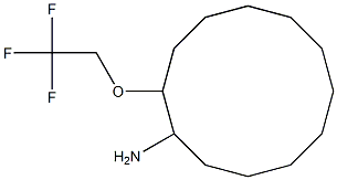 2-(2,2,2-trifluoroethoxy)cyclododecan-1-amine 结构式