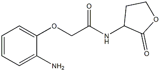 2-(2-aminophenoxy)-N-(2-oxooxolan-3-yl)acetamide 结构式