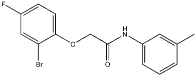 2-(2-bromo-4-fluorophenoxy)-N-(3-methylphenyl)acetamide 结构式