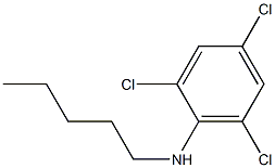 2,4,6-trichloro-N-pentylaniline 结构式