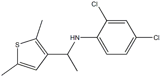 2,4-dichloro-N-[1-(2,5-dimethylthiophen-3-yl)ethyl]aniline 结构式