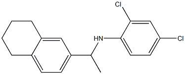 2,4-dichloro-N-[1-(5,6,7,8-tetrahydronaphthalen-2-yl)ethyl]aniline 结构式