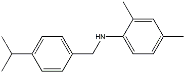 2,4-dimethyl-N-{[4-(propan-2-yl)phenyl]methyl}aniline 结构式