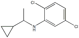 2,5-dichloro-N-(1-cyclopropylethyl)aniline 结构式