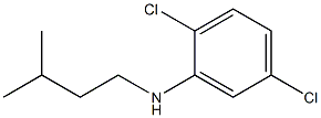 2,5-dichloro-N-(3-methylbutyl)aniline 结构式
