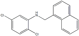 2,5-dichloro-N-(naphthalen-1-ylmethyl)aniline 结构式