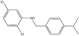 2,5-dichloro-N-{[4-(propan-2-yl)phenyl]methyl}aniline 结构式