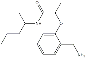 2-[2-(aminomethyl)phenoxy]-N-(pentan-2-yl)propanamide 结构式