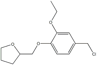 2-[4-(chloromethyl)-2-ethoxyphenoxymethyl]oxolane 结构式